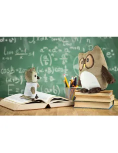 Pluszowa sowa, brelok | Cleverly-HE786 2