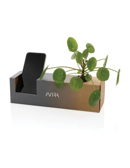 Butelka termiczna 500 ml Avira Avior-P438.00