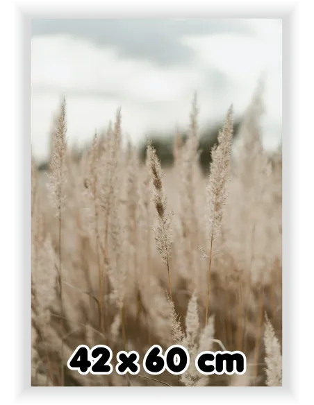Plakaty A2 42x60 cm - Tania Drukarnia od 8 zł!